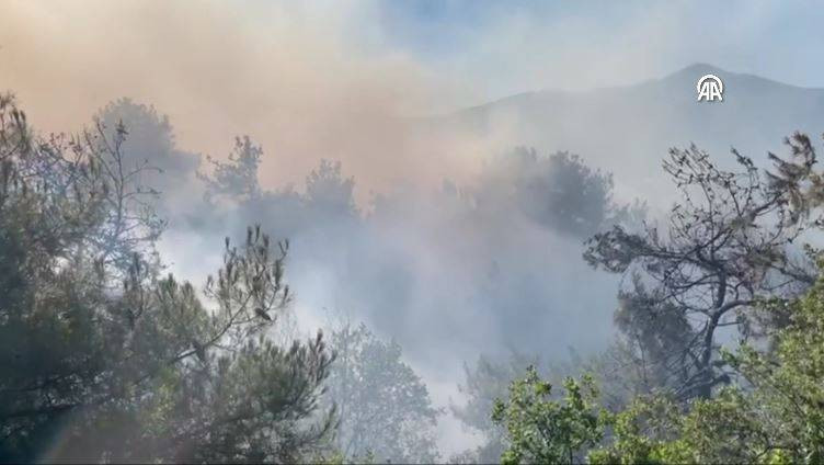 Sakarya'da orman yangını - Resim: 8